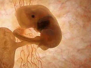 泰国三代试管婴儿1周期费用多少？时间多少？