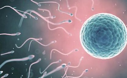 福州做试管婴儿哪个医院技术好？成功率高？