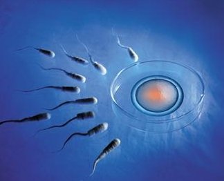 内蒙古试管婴儿医院哪家好？内蒙古能做试管婴儿吗？