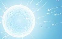 泰国第三代代号试管婴儿需要多少钱？成本明细一目了然