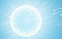 2026年高龄失独在陆军第73集团军医院做三代试管的流程是怎么样的？