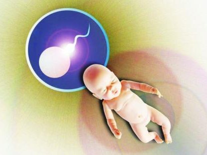 天津私立机构三代试管婴儿医院费用是多少？成功率是多少？