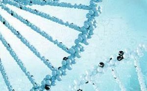 泉州市都有哪些正规助孕机构：2026新名单出炉