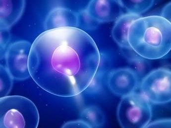 桂平三大助孕中心及费用清单：三代试管多少钱？